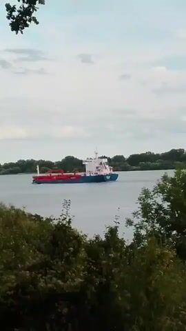 A cargo ship with a blue and white superstructure and a red cargo area is sailing on a wide river. The ship is seen from a distance, with trees and foliage in the foreground. The sky is cloudy.