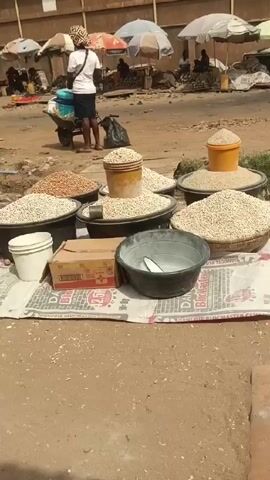 The video shows a street market scene.  Several large containers, filled with dried grains or legumes, are arranged on a white sack spread on the ground.  The containers are a mix of black buckets and woven baskets.  A cardboard box and a white plastic bucket sit beside the larger containers. Behind the arrangement, a person wearing a white shirt and patterned hat stands next to a handcart.  In the background, people are sitting and standing under umbrellas. The ground is dirt.
