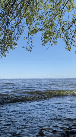 Morning nature documentation along Volga River in Ulyanovsk