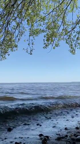 Morning nature documentation along Volga River in Ulyanovsk