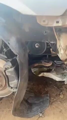 A damaged silver-colored car is shown in a video. Its front bumper and headlight are missing, revealing the engine compartment. The engine is visible with various components, including hoses, belts, and pulleys. The front left fender is also damaged and hanging loosely. The car appears to be undergoing repair or maintenance in a garage or outdoor setting.  A person's hand is briefly visible near the front of the car at the end of the video.
