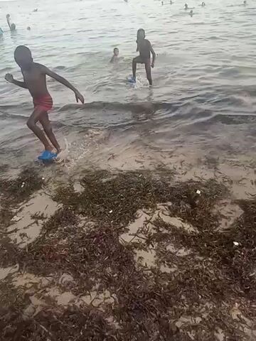 The video shows a beach with a group of people swimming in the ocean. Two children are playing in the shallow water near the shore. One child is wearing red shorts and blue sandals, while the other is wearing only blue sandals. They are splashing around and running in the water. The beach is covered with seaweed.  A woman carrying a child enters the water. The ocean water appears grey.