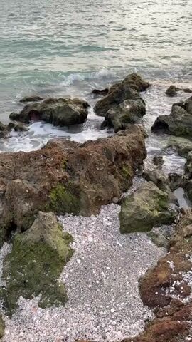 A close-up shot of a rocky shore with the ocean waves gently lapping at the rocks. The rocks are of various sizes and are covered in moss and algae. The water is a clear blue-green color, and the sky is overcast. The overall impression is one of natural beauty and tranquility.