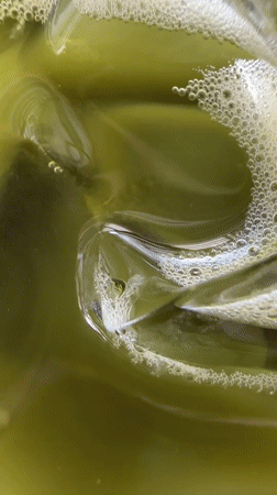 Morning scenes captured in Moo 4: green drink, foraging birds