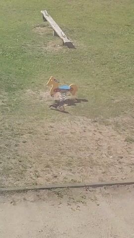 The media file depicts an outdoor scene on a sunny day, likely in a park or playground, given the presence of playground equipment. The main subjects are a see-saw and a yellow spring rider shaped like a horse. The see-saw is made of wood and metal and is positioned on a grassy area. The spring rider, also yellow with a blue seat, is situated closer to the foreground and appears to be unoccupied. The ground is a mix of grass and dirt, with some scattered weeds. A paved or sandy path runs along the bottom of the frame, and a thin, dark line, possibly a curb or edge of the path, is visible. The overall setting appears to be a well-lit outdoor space, suggesting it's daytime. No people are visible in the frame. The activity, if any, is implied by the presence of playground equipment, suggesting it is a place for children's recreation. There is no visible text in the media file. The image provides a static view of a simple playground.