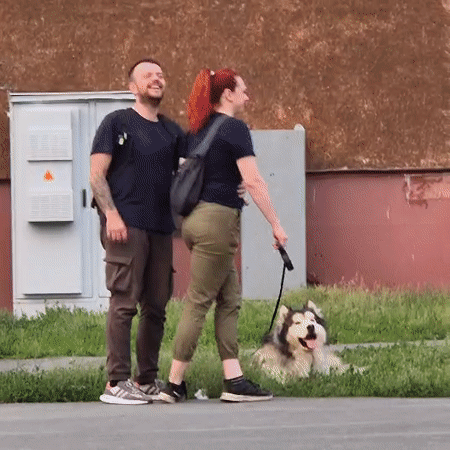 Relaxed outdoor moment with a dog in Kemerovo