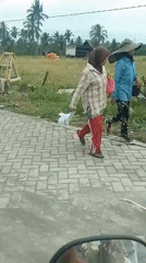 Morning work and movement across rural Jember, Indonesia