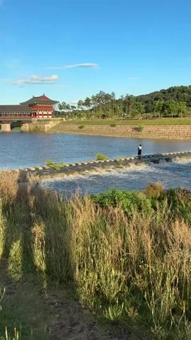 A vertical, eye-level, outdoor shot captures a scenic river landscape with a traditional Korean bridge and pagoda in the background. Tall grasses and greenery dominate the foreground and middle ground, with a path winding through them. A person stands on a series of stepping stones in the river, which has a small waterfall creating ripples. Another person appears to be walking on the path to the left, and two people are visible near the stepping stones. The sky is blue with scattered white clouds, and the sun casts shadows, indicating it's likely late afternoon or early evening. The bridge is red with a darker roof, and the pagoda has a similar architectural style. The overall atmosphere is serene and natural.