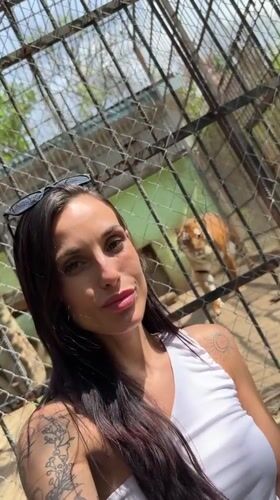Zoo visitor documents animals during morning visit in Lovech