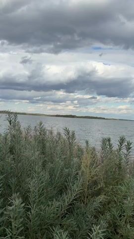 The video shows a view of a body of water, likely a lake or reservoir, from the shore. In the foreground, there are green bushes and some dry, reddish-brown plants. The water is rippled, indicating a light breeze. The sky is overcast with dark, dramatic clouds interspersed with patches of lighter sky. In the distance, the opposite shore is visible as a low, green tree line. The overall impression is of a somewhat moody, natural landscape. There are no people or man-made objects clearly visible.