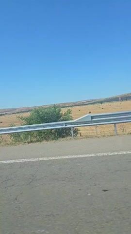 The video shows a view from a moving vehicle, likely a car, on a road. The camera is looking out to the right. In the foreground, there is a paved road with a white line marking the lane. Beyond the road, there is a metal guardrail. Further in the distance, there is a dry, grassy field with several round hay bales scattered across it. The sky is clear and blue. Trees and shrubs are visible along the side of the road, some of which are sparse and dry, while others are fuller and green. The landscape appears to be rural and agricultural. The sun is shining, indicating daytime.