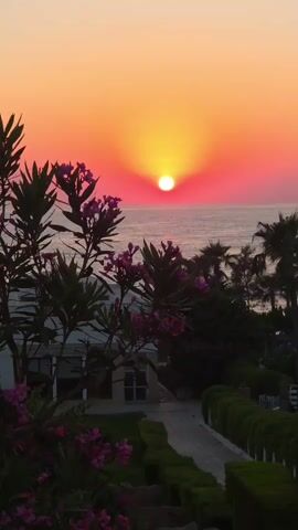 A vertical video captures a sunset over the ocean. The sun, a bright orange orb, is low on the horizon, casting a warm glow across the sky, which transitions from yellow at the top to pink and orange near the sun. The ocean is calm, with gentle waves. In the foreground, lush green foliage, including a tree with pink flowers, frames the scene. A pathway leads through manicured bushes towards a building in the middle ground. Palm trees are visible on the right side of the frame, silhouetted against the sunset. The overall impression is one of tranquility and natural beauty.