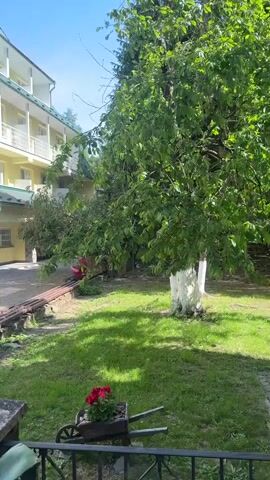 The camera pans across a yard and building. The building is yellow with white trim, stone facing, and a green roof. The yard is grassy with trees. There is a decorative wheelbarrow with red flowers. There is also a bench near the building. A black metal fence and stone pillar are in the foreground.