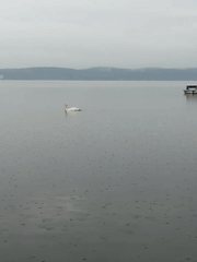 Rainy morning scenes captured at Russian lakeside resort area