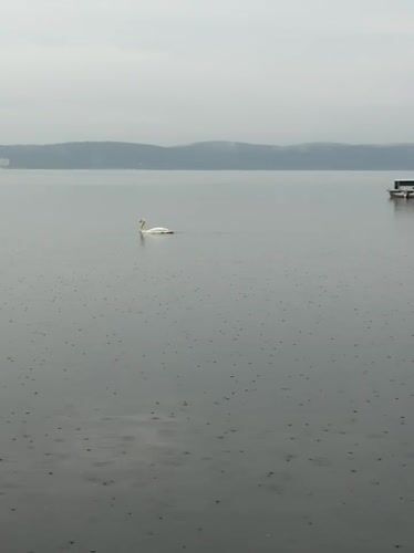 Rainy morning scenes captured at Russian lakeside resort area