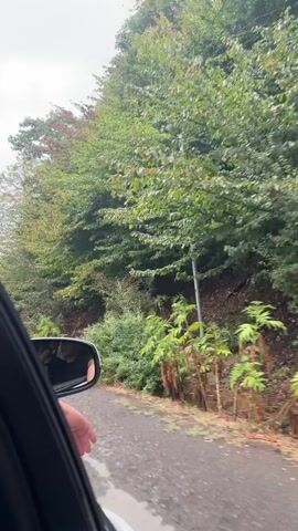 The video shows a view from inside a car traveling on a dirt road. Lush green trees and vegetation line the right side of the road, with some leaves showing autumnal colors. A side mirror is visible on the left, reflecting the interior of the car and a person's hand. The road appears wet and somewhat muddy. The overall scene depicts a journey through a wooded area.