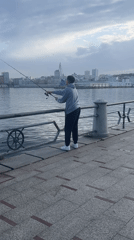 Evening fishing and sailing activities observed in A Coruña waterfront