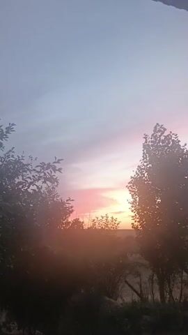 A vertical video shows a sunset viewed through silhouetted trees and foliage. The sky is a pale blue with streaks of pink and orange where the sun is setting. The sun itself is a bright yellow-orange orb partially obscured by the trees. The trees in the foreground are dark and leafy, with the branches of one tree on the left side of the frame obscuring a portion of the sky. The overall impression is one of peaceful natural beauty.
