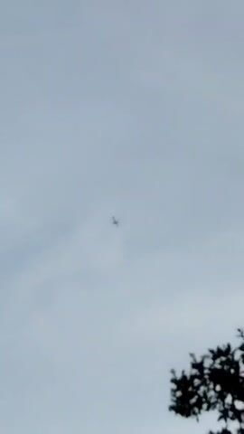 The video shows a cloudy sky with a silhouetted tree branch in the foreground. A small airplane is visible flying in the distance. The airplane appears to be a passenger jet. The video is of short duration and provides a static view of the scene.