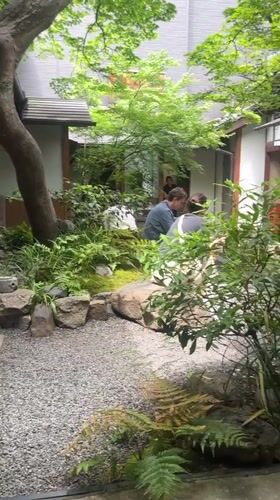 Nighttime leisure scene captured at traditional Kyoto tea garden