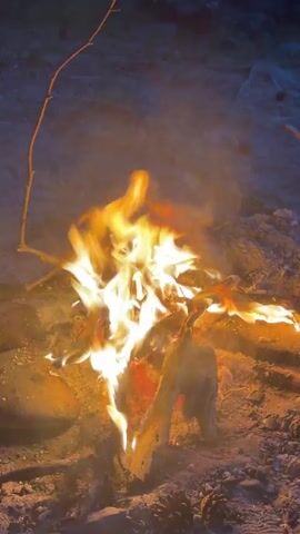 A crackling bonfire is captured from a high-angle, close-up shot, with the camera in a static position. The fire illuminates the ground and surrounding objects, casting a warm glow. The flames dance and shift, creating a mesmerizing display of light and heat. The scene is set in an outdoor environment, with natural elements such as dirt, small pebbles, and pine cones visible on the ground. The background is blurred, indicating a shallow depth of field, which keeps the focus on the fire.