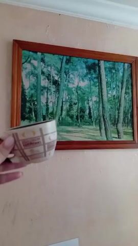 A hand holding a teacup moves in front of a framed picture on a wall. The cup is cream-colored with a brown checkered pattern. The picture is of a forest, with tall trees and green foliage. The frame is brown and rectangular. The wall is peach-colored. The teacup is partially obscuring the lower left portion of the framed picture. The camera moves slightly.