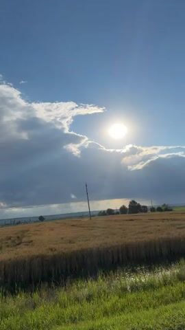 This is a vertical, handheld shot of a vast, golden field under a bright, partly cloudy blue sky. The sun is a prominent, bright orb high in the sky, partially obscured by dramatic, grey-tinged clouds that cast streaks of light onto the field. The field appears to be ripe wheat or barley, with visible tracks from machinery. In the foreground, there is a strip of green grass, with some wildflowers. On the horizon, distant trees and structures are visible. The overall impression is one of a rural landscape bathed in sunlight, with a dynamic sky.