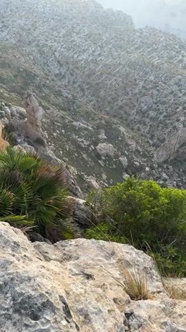 The video shows a panoramic view of a rocky, mountainous coastline overlooking the ocean. The terrain is rugged with sparse vegetation, including some palm trees and green bushes. The sea is a deep blue, and the sky is hazy with a bright sun appearing to be setting or rising. There are no people or animals visible in the video. The camera pans slowly across the landscape, capturing the vastness of the ocean and the dramatic cliffs.