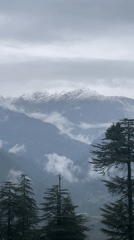 Misty morning in Naggar's pine-covered mountain valley