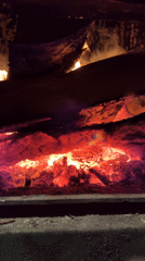 Domestic scenes documented in Tyulyuk: burning stove, floral arrangement