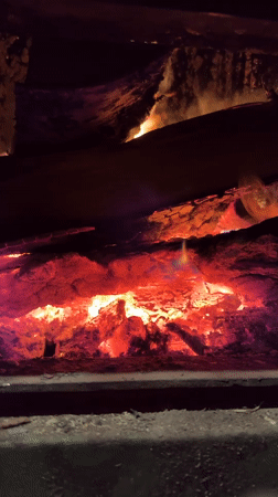 Domestic scenes documented in Tyulyuk: burning stove, floral arrangement