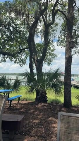 This media file captures a scenic outdoor setting, likely a waterfront area on Hilton Head Island, USA. The scene is dominated by lush greenery, with large trees providing shade. Among the trees, there is a small birdhouse attached to one of the trunks. In the foreground, a picnic table with blue benches is visible, suggesting a place for relaxation or dining.

Beyond the trees, a body of water, possibly an inlet or bay, stretches out. A pier or boardwalk runs along the water's edge, with a boat docked beside it. The boat appears to be a light-colored yacht with a light-colored hull and a tan top. Further in the distance, more boats and structures can be seen on the water, indicating a harbor or marina.

Scattered throughout the area are several white Adirondack chairs, some of which prominently display the "Miller Lite" logo. These chairs are arranged to face the water, inviting viewers to imagine a leisurely experience. The ground is covered in mulch and fallen leaves, typical of an outdoor, natural environment.

The sky is bright and partly cloudy, suggesting it's daytime, likely late morning or afternoon. The overall mood is tranquil and inviting, evoking a sense of a relaxing vacation or a peaceful day outdoors. There is no visible activity or people in the frame, focusing entirely on the static elements of the scene. The natural beauty of the location, combined with the man-made amenities, creates a picturesque and inviting atmosphere.