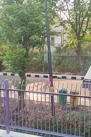 The video shows an outdoor scene with a street, trees, a fence, and a building in the background. In the middle of the street, there is a small fire burning. Smoke is rising from the fire and drifting upwards. The fire appears to be burning on a pile of debris. There is a lamppost positioned to the left of the fire. A purple fence runs along the bottom of the frame, with two trash cans visible behind it. The lighting suggests it is daytime, possibly late afternoon due to the warm tones.