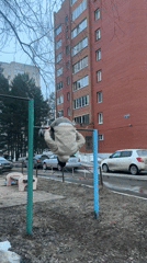 Daily life moments captured across Chaikovsky, Russia neighborhoods