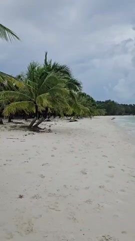 A drone shot pans across a tropical beach. The beach is sandy and white, with footprints visible on the sand. Coconut trees line the edge of the beach, their fronds casting shadows on the sand. The ocean is a clear turquoise color, with small waves lapping at the shore. The sky is overcast with clouds, but the overall atmosphere is peaceful and serene. There are no people visible in the video. The camera is moving from left to right, offering a panoramic view of the beach and ocean. The overall impression is one of a secluded and untouched paradise.