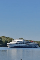 Cruise ship passes as dogs splash around in river shallows