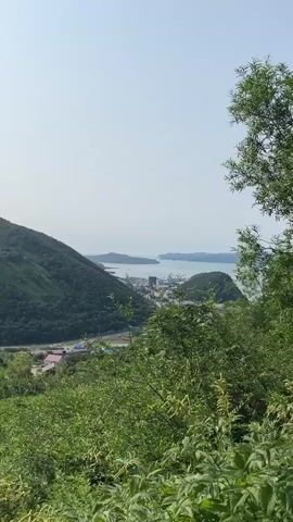 A time-lapse video shows a distant, hazy view of a coastal town nestled between green, tree-covered hills and the sea. The town has low-rise buildings and what appears to be a port with cranes and ships. The sky is overcast and pale. The foreground is filled with lush, green foliage, which slightly obscures the view. The camera appears to be positioned on a hillside overlooking the town and sea.