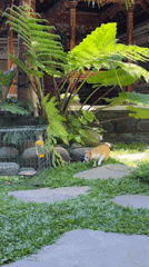 Early morning garden scene captured in North Kuta Indonesia