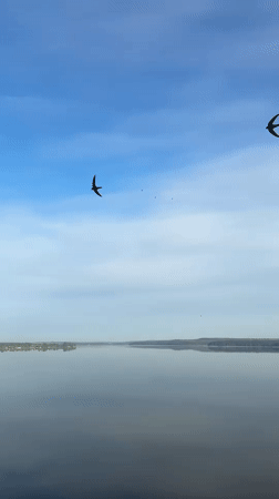Peaceful morning scenes captured at Votkinsk Reservoir, Russia