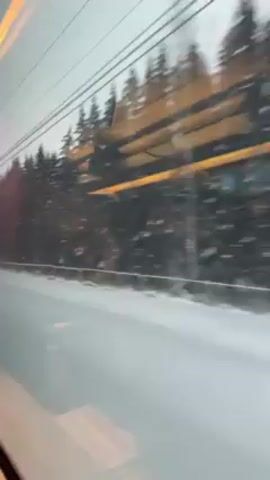 The video shows a view from a train window moving through a snowy landscape. A row of trees covered in snow passes by outside, and overhead electrical lines are visible against a pale sky. The camera appears to be inside the train looking outwards, with the glass of the window partially reflecting the interior. The train is moving, causing the scenery to blur.