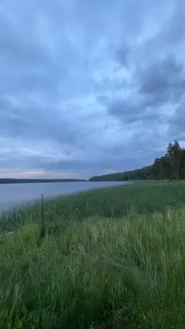 The video shows a scenic view of a lake from the grassy shore. The sky is overcast with dark, heavy clouds, suggesting either early morning or late evening. Tall green grass and reeds line the edge of the water, creating a natural barrier. In the distance, the opposite shore of the lake is visible, covered with a dense forest of trees. The water appears calm with gentle ripples on its surface. The overall atmosphere is serene and peaceful, with the natural landscape dominating the scene. There are no people or man-made objects visible in the video, except for a thin, dark vertical pole-like object in the reeds near the center of the frame in the first few seconds, which could be a marker or part of a fence.
