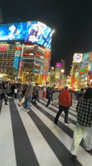 Night pedestrian traffic documented at Tokyo's Shibuya crosswalk