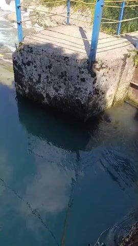 The video shows a man-made waterfall on a river. The waterfall is about 10 feet high. The water is clear and blue, and the surrounding area is covered in lush green trees and grass. The sky is blue with a few white clouds. There is a small building on the left side of the waterfall. There is a concrete structure that looks like a dam or spillway. There is a railing made of blue poles and a wooden handrail along the edge of the structure. A fishing line is visible in the foreground.
