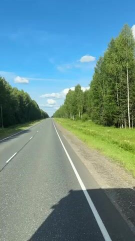 The video shows a view from a vehicle traveling on a paved road through a wooded area. The road is in the foreground and extends into the distance. On either side of the road are dense green trees, with the foliage appearing lush and full. The sky is blue with scattered white clouds. The overall impression is that of a sunny day in a natural, rural environment. The perspective suggests the video is recorded from a moving car, possibly from the driver's or passenger's seat, as the road and the sides of the vehicle are visible. There are no other vehicles or people visible in the frame. Road markers, white posts with red tops, are visible along the right side of the road at intervals.