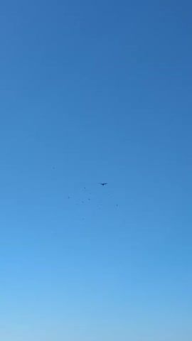 A clear blue sky is visible in this video. A single bird is seen flying in the upper center of the frame, its wings spread. A small cluster of other birds can be seen to the left of the main bird, also in flight. The scene is entirely aerial, with no ground visible.