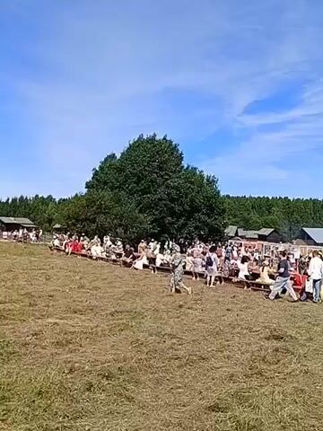 The video shows an outdoor event with a blue sky and scattered clouds. In the foreground, there is a field with dry grass. In the background, there are rows of tents and stalls set up, with many people walking around and interacting. Some people are sitting at picnic tables. Further in the distance, there is a stage with a canopy and a white tent. A dense line of trees forms the backdrop. The overall impression is of a gathering or festival taking place in a rural or park-like setting.