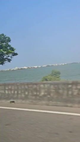 The video shows a side view of a road and a body of water. On the left side of the frame, there is a tree with green leaves. In the middle of the frame, there is a concrete barrier. Beyond the barrier, there is a wide expanse of water with buildings visible on the opposite shore. The sky is clear and blue. The video appears to have been filmed from a moving vehicle.