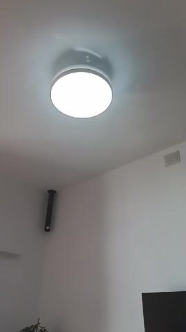 This is a video of a ceiling light in a room. The light is round and white, and it is illuminated. The ceiling is white. There is a black cylindrical object mounted on the wall in the corner of the room, to the left of the light. There is a dark rectangular object, possibly a television, on the wall to the right of the light. There are also some plants visible in the lower left corner of the frame. The video is very short, lasting only a few seconds.