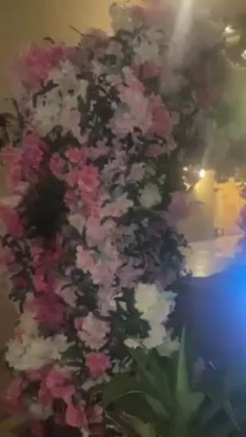 The video shows an outdoor patio at night. A wall of pink and white flowers is on the left. Yellow string lights illuminate the patio, which appears to be wet, possibly from rain. Tables and chairs are visible. A blue light fixture stands out in the foreground. Tall palm trees and a building with arched entrances are visible in the background. The video pans right.