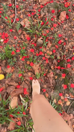 Quiet morning documented in Thai village through nature observations